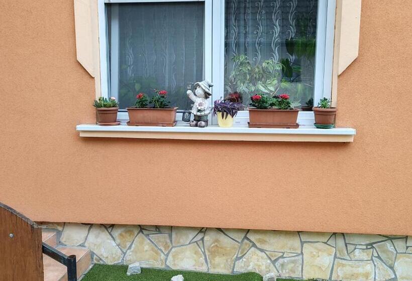 膳宿费 Zeg Zug Vendégház