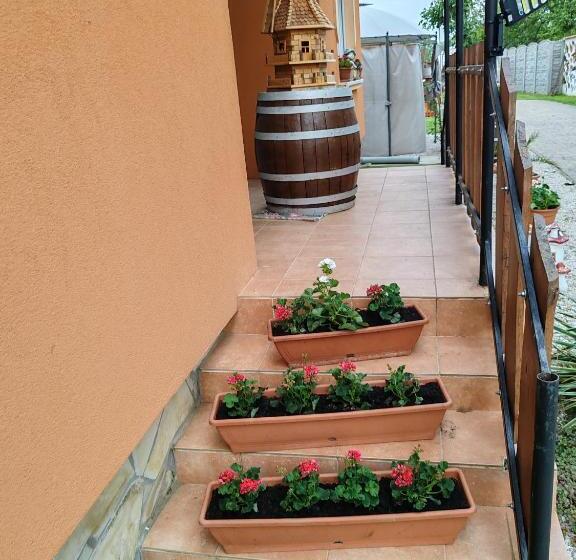 膳宿费 Zeg Zug Vendégház