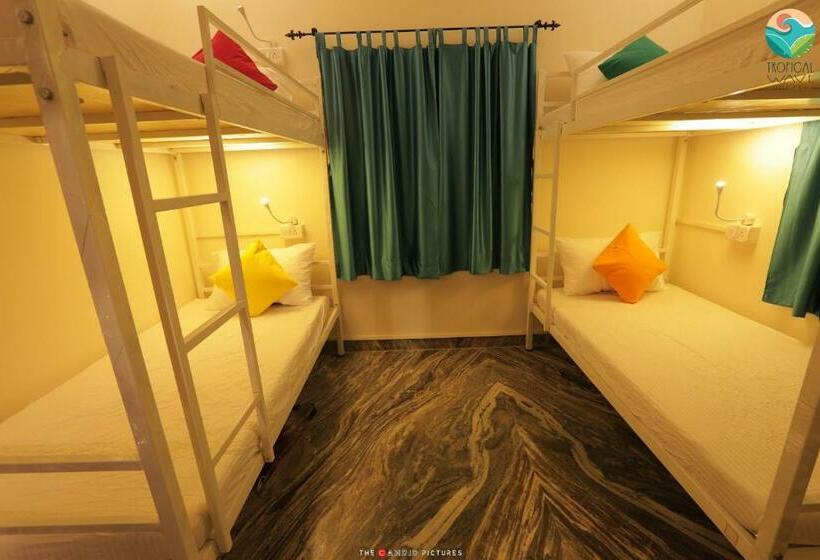 Tropical Wave Hostel Morjim Goa
