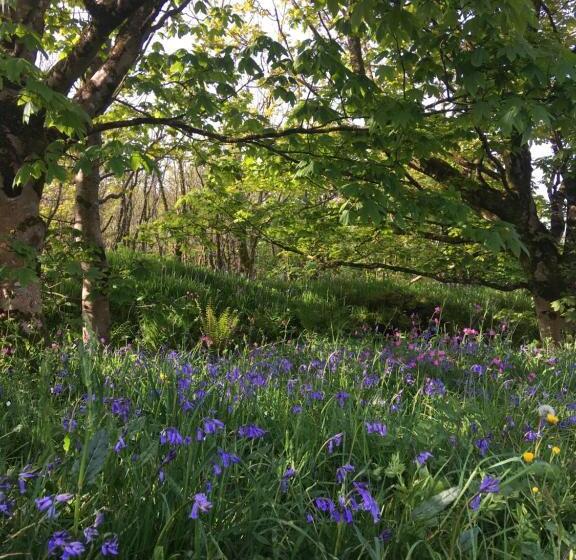 مبيت وإفطار Treganoon House, Lanlivery