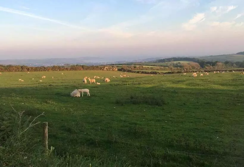 Aamiaismajoitus (B&B) Treganoon House, Lanlivery