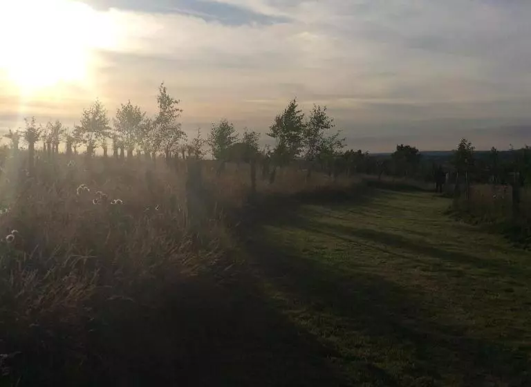 Aamiaismajoitus (B&B) Treganoon House, Lanlivery