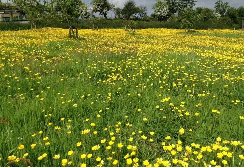 Aamiaismajoitus (B&B) Treganoon House, Lanlivery