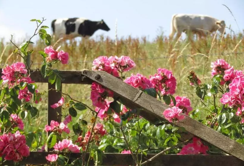 Aamiaismajoitus (B&B) Treganoon House, Lanlivery