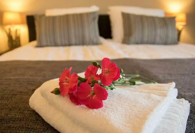 Bed & Breakfast Bos En Weide