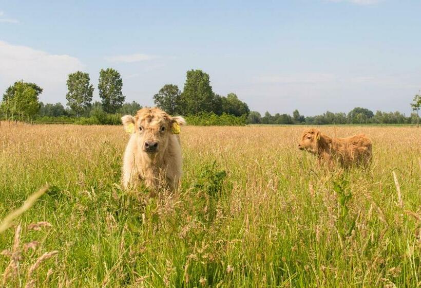 Bed & Breakfast Bos En Weide