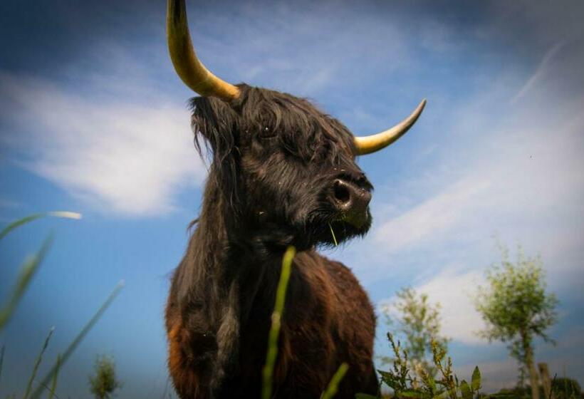 Bed & Breakfast Bos En Weide