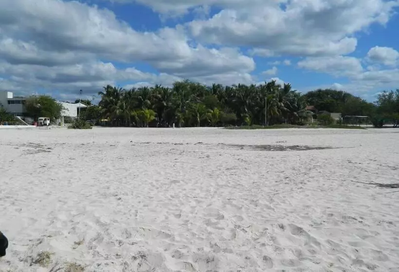 Hotelli Cabañas Camping Ria Celestun