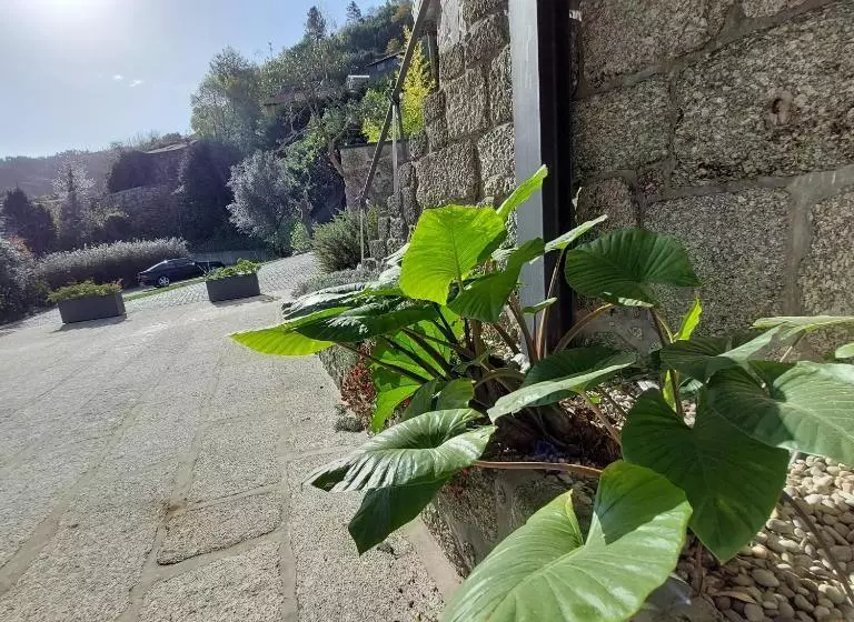 ホテル Casa Do Penedo   Quinta De Fundevilla