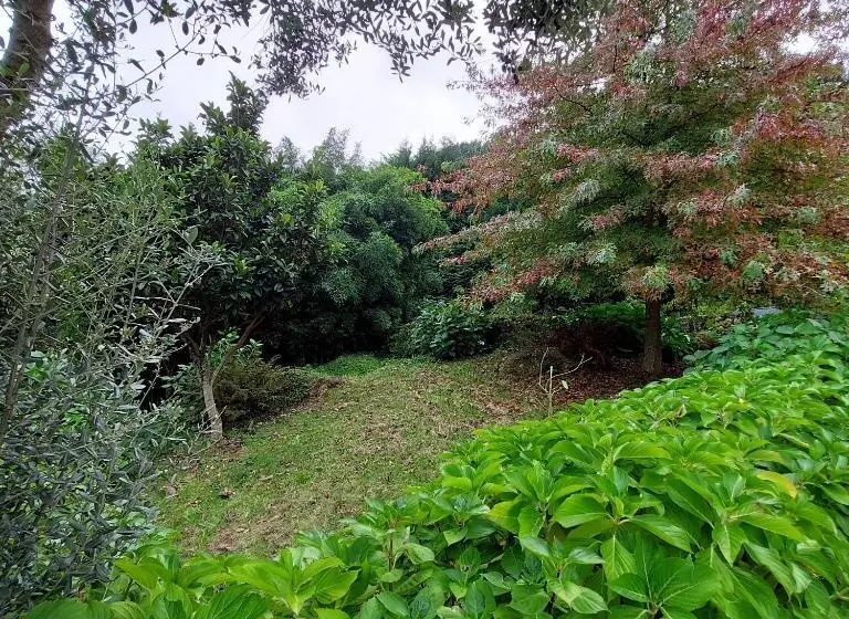 ホテル Casa Do Penedo   Quinta De Fundevilla