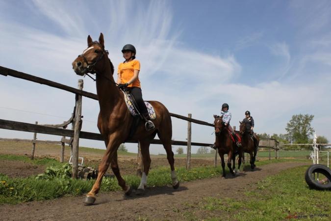 호텔 Farma Bartolini