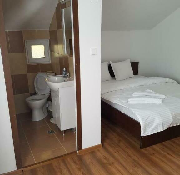 פנסיון Cabana Merișor