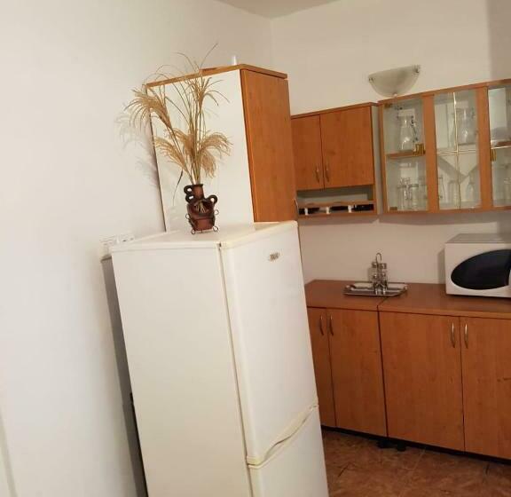 פנסיון Cabana Merișor