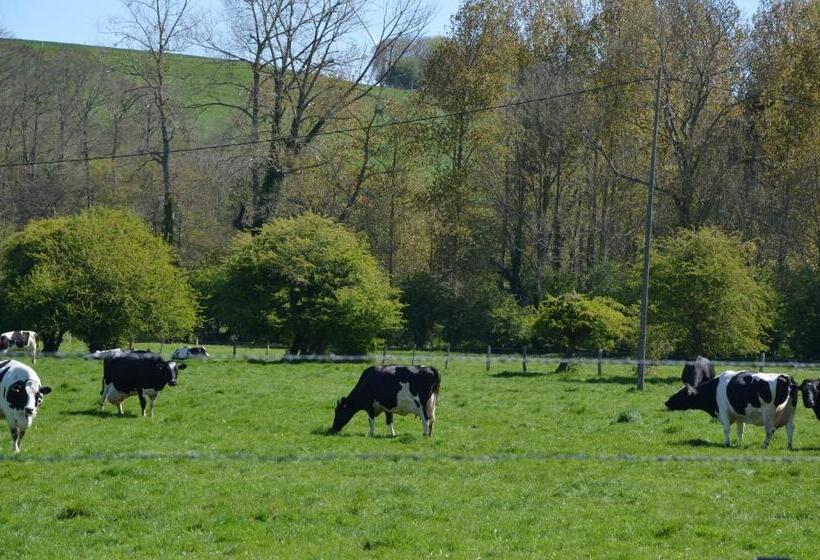 膳宿费 Le Domaine Des Terres Du Thil