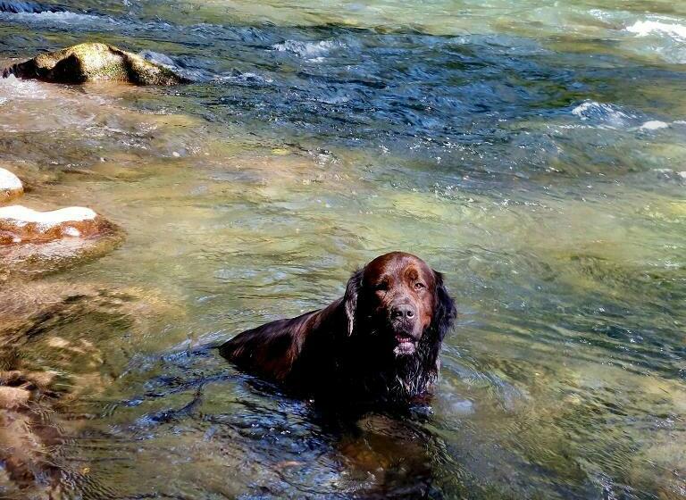 Panzió Estación Benedicto