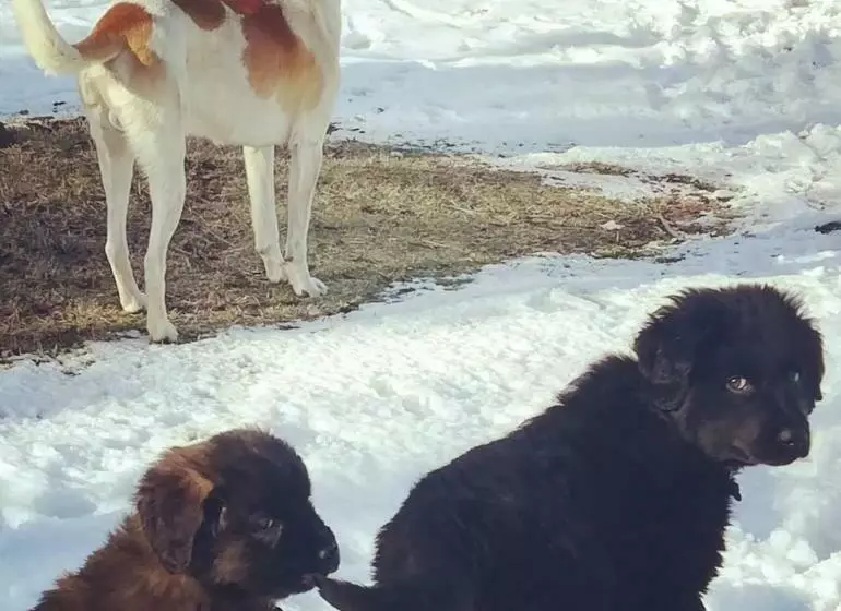 Majatalo Estación Benedicto