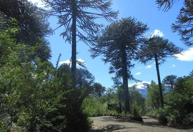 Majatalo Estación Benedicto