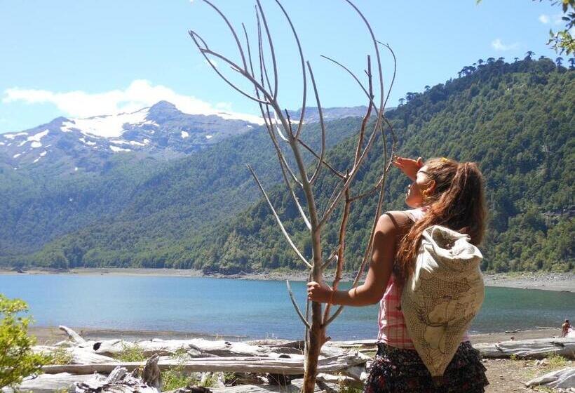 Panzió Estación Benedicto