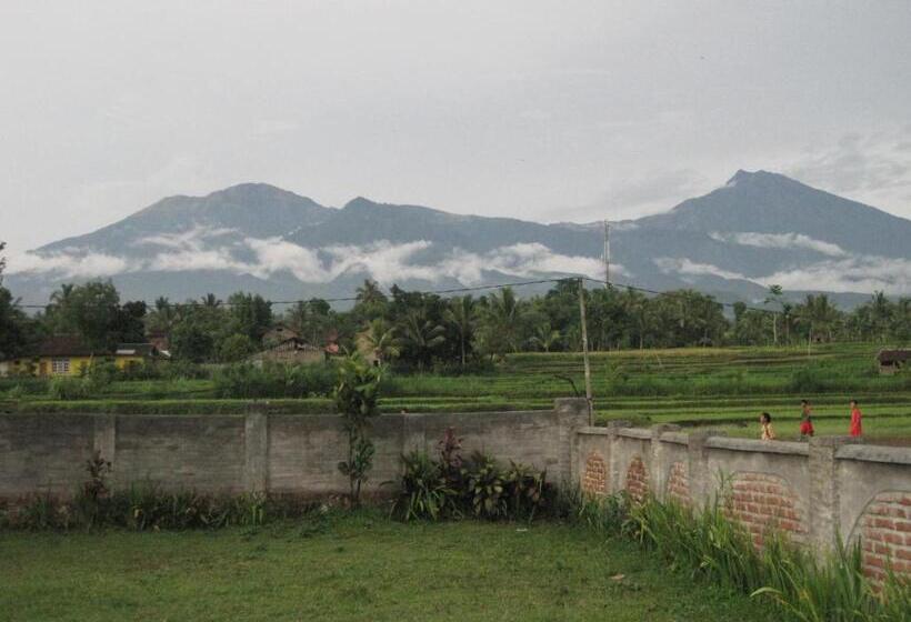 Пансион Pondok Tetebatu Cottages And Cafe