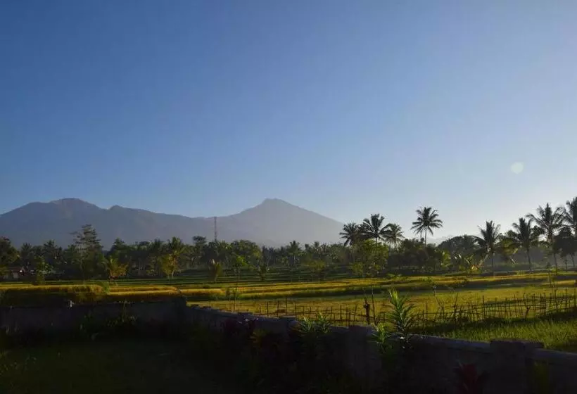 ペンション Pondok Tetebatu Cottages And Cafe