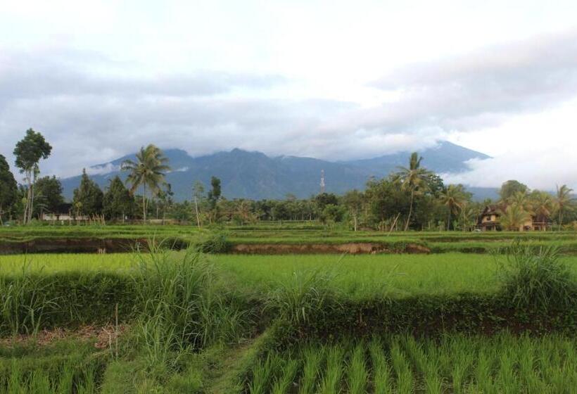 Пансион Pondok Tetebatu Cottages And Cafe