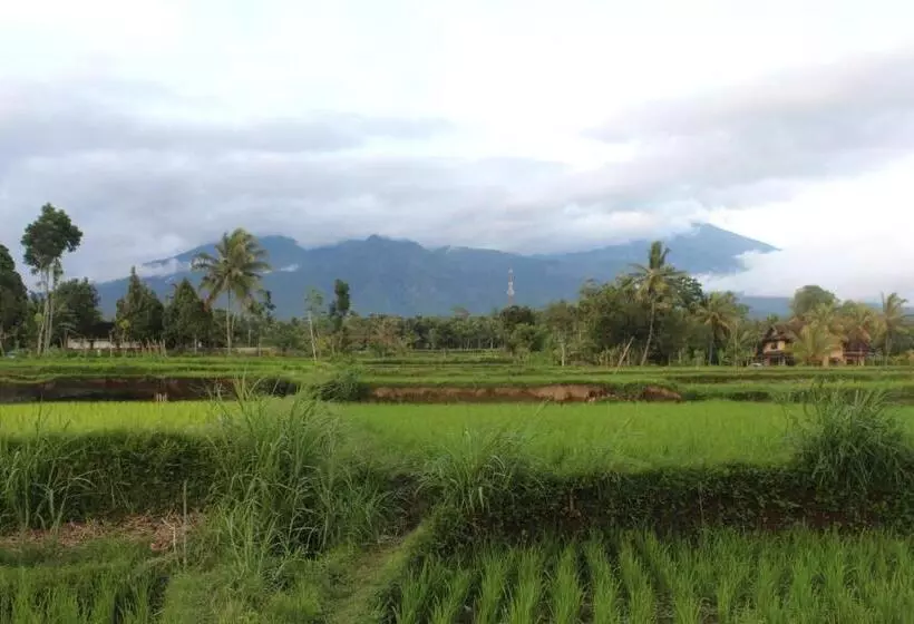 ペンション Pondok Tetebatu Cottages And Cafe
