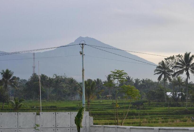 Пансион Pondok Tetebatu Cottages And Cafe