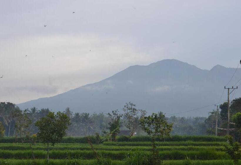 Пансион Pondok Tetebatu Cottages And Cafe