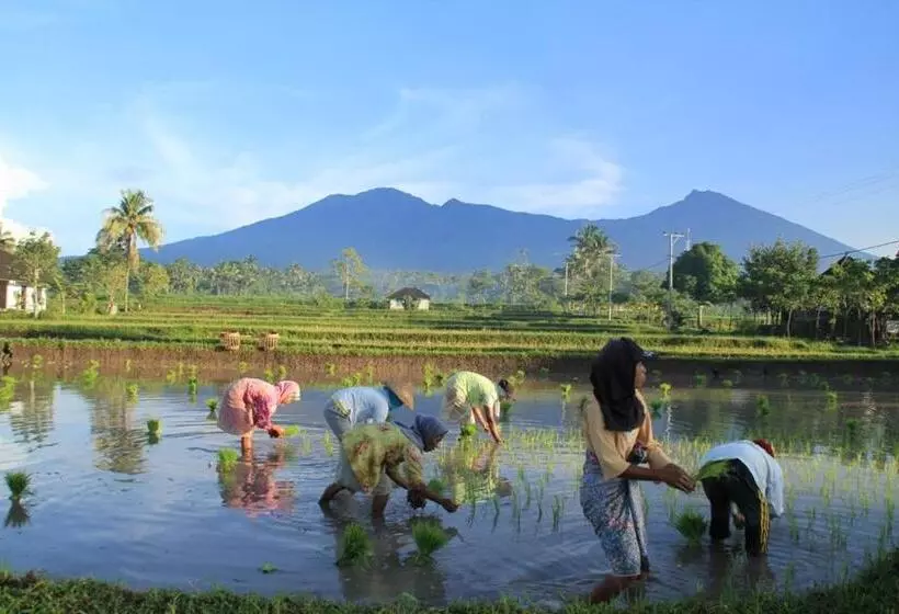 ペンション Pondok Tetebatu Cottages And Cafe