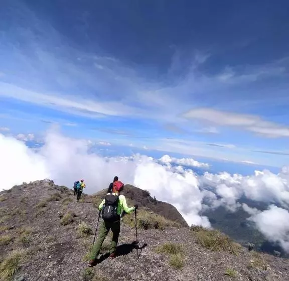 ペンション Pondok Tetebatu Cottages And Cafe