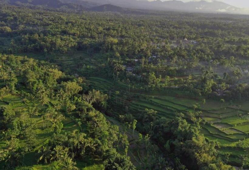 Пансион Pondok Tetebatu Cottages And Cafe