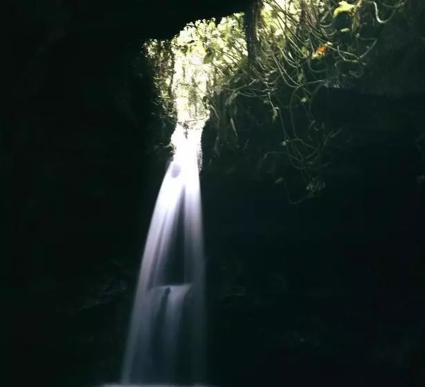 ペンション Pondok Tetebatu Cottages And Cafe