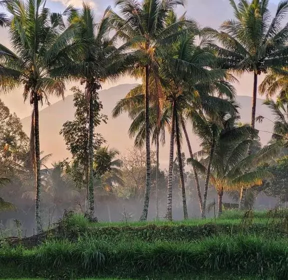 ペンション Pondok Tetebatu Cottages And Cafe