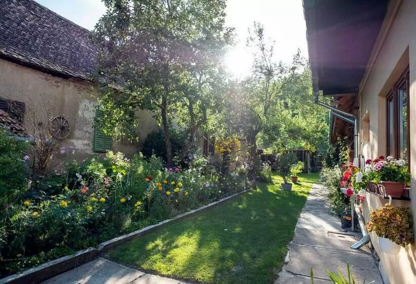 Majatalo Villa Rihuini Eco Wine House Transylvania