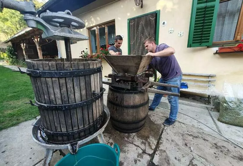 Majatalo Villa Rihuini Eco Wine House Transylvania