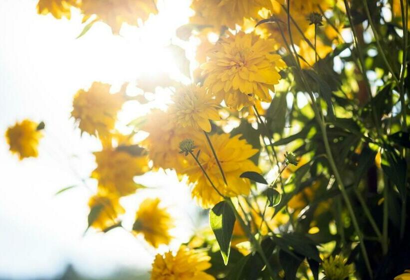 Пансион Villa Rihuini Eco Wine House Transylvania