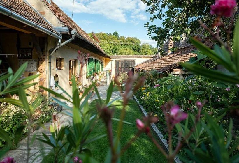 Пансион Villa Rihuini Eco Wine House Transylvania