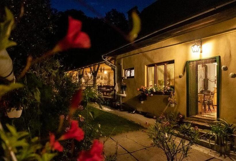 Пансион Villa Rihuini Eco Wine House Transylvania