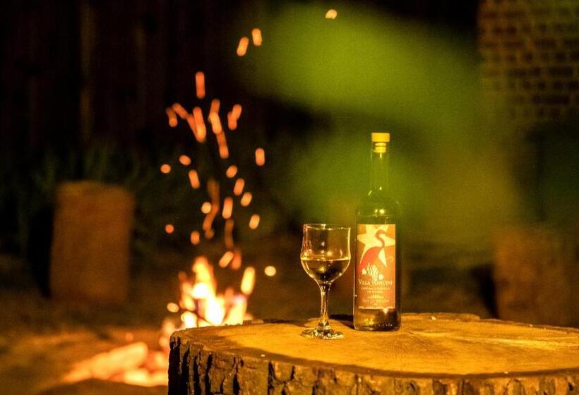 Пансион Villa Rihuini Eco Wine House Transylvania