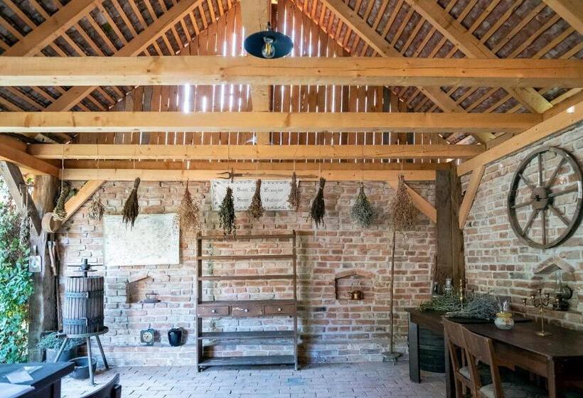 Пансион Villa Rihuini Eco Wine House Transylvania