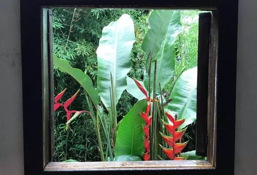 ペンション Pousada Rainforest House Ilha Grande