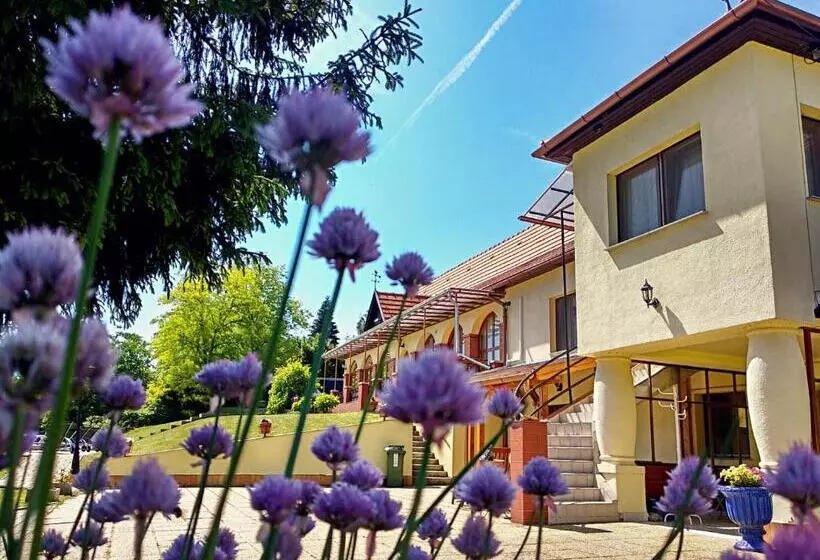 ペンション Villa Teleki