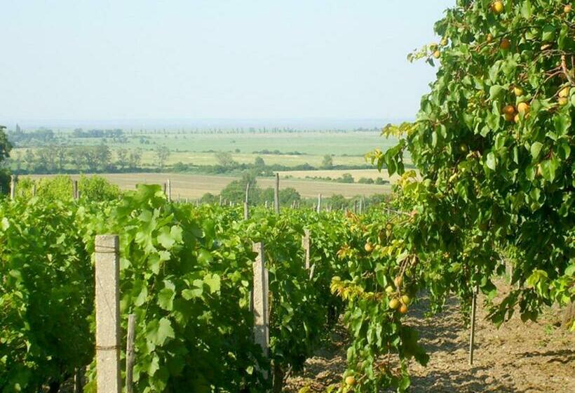 Bed and Breakfast Szűts Panzió