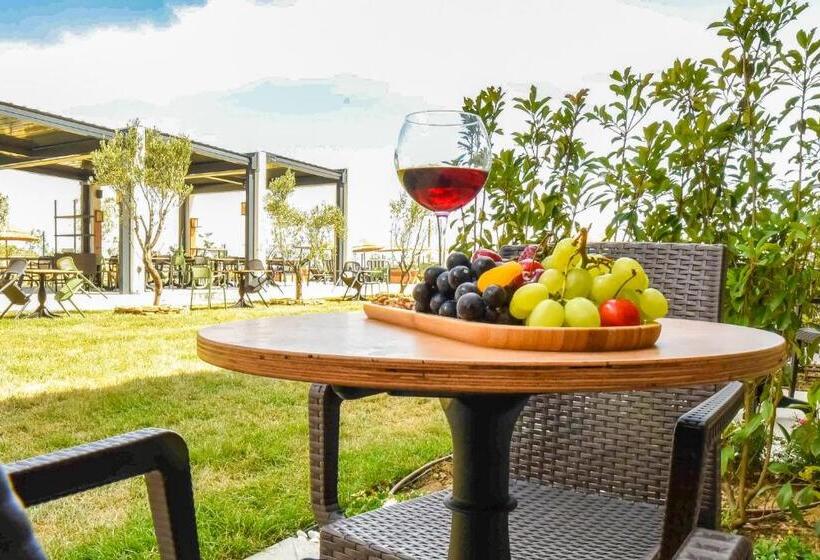 هتل Kotinos Beach