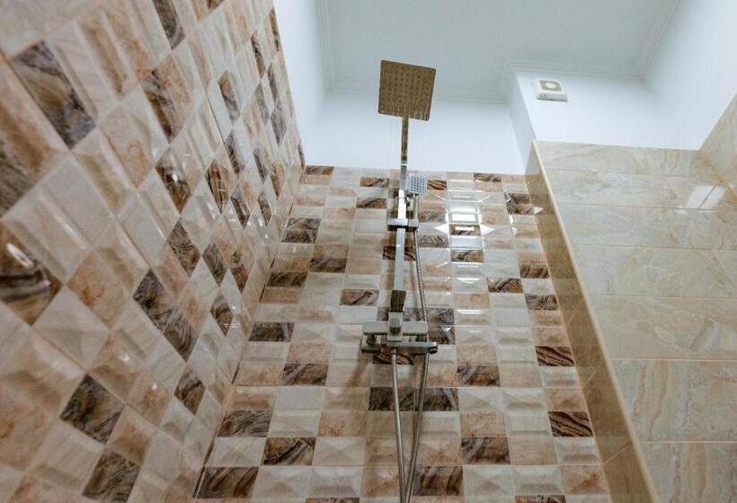 Отель Villa Ovidiu