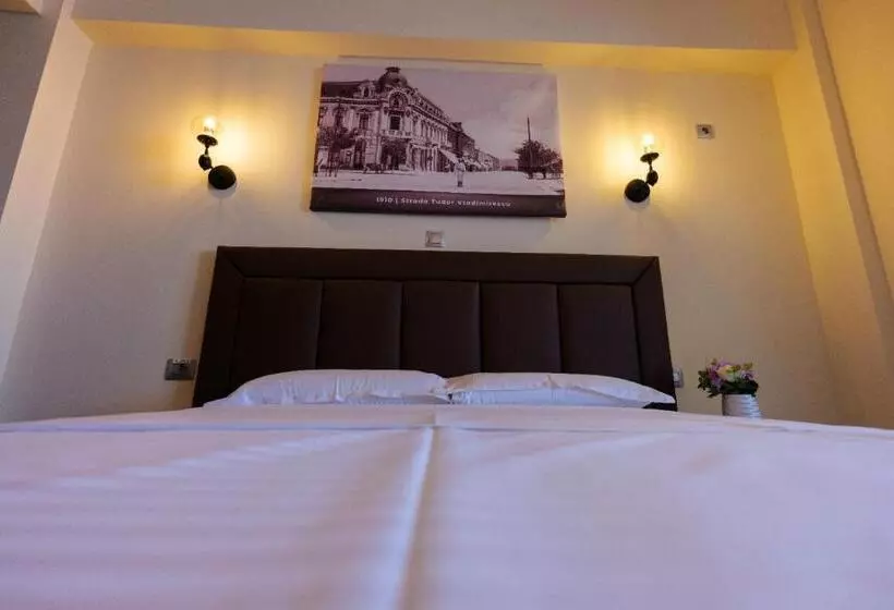 Hotelli Villa Ovidiu