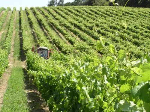 Majatalo Quinta De Catralvos