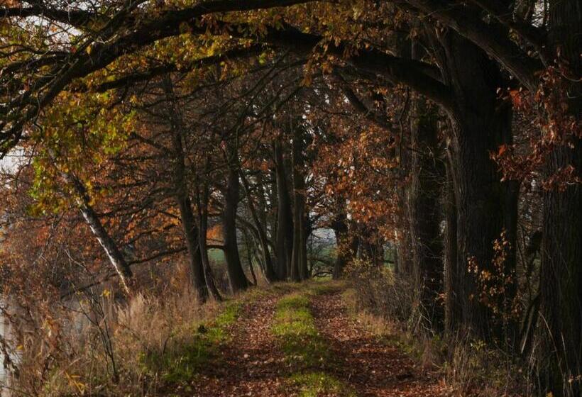 膳宿费 Wellness Hotel Boží Oko