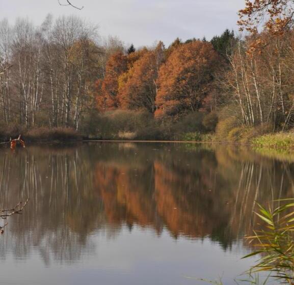 膳宿费 Wellness Hotel Boží Oko