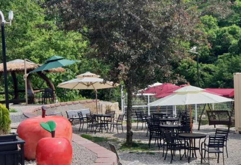 ホテル Andong Sunrise Glamping